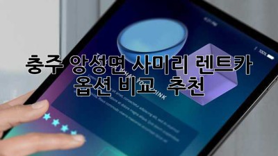 충주 앙성면 사미리 렌트카: 옵션 비교 & 추천